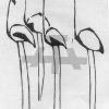 Holzschnitt Stehende Flamingos