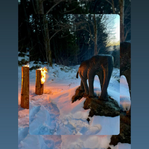 Das war die „Einstimmung auf die staade Zeit“